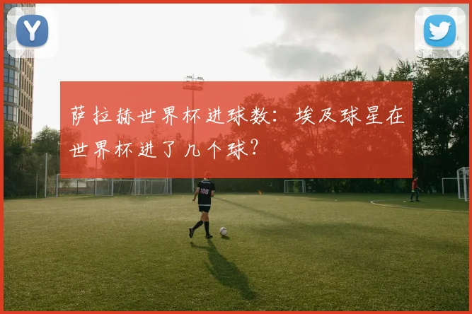 萨拉赫世界杯进球数：埃及球星在世界杯进了几个球？