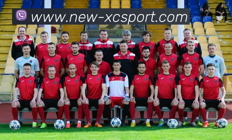 杏彩体育服务体系